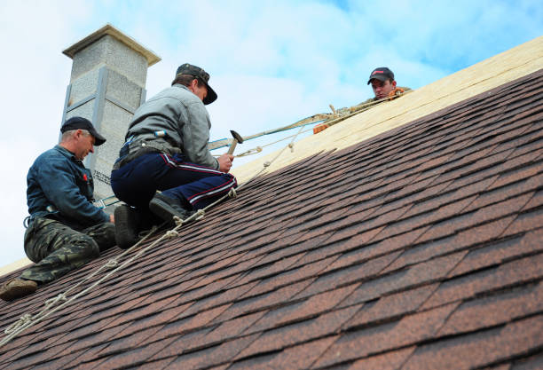 Quick and Trustworthy Emergency Roof Repair Services in Show Low, AZ